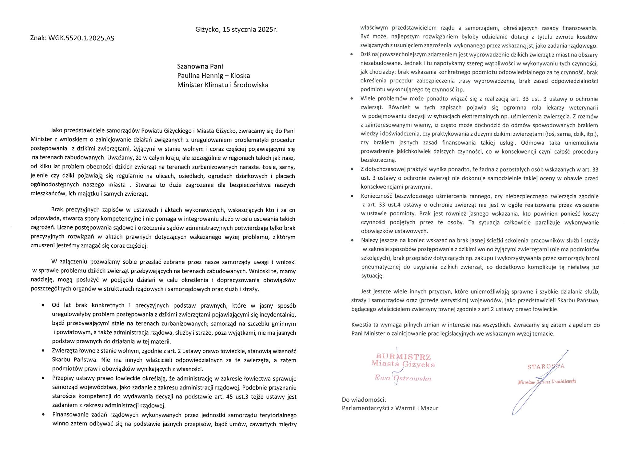 Giżycko na Mazurach zmaga się z dzikimi zwierzętami. Samorządowcy apelują do rządu